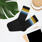 AroAce Flag Socks - black - On Trend Shirts