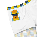 AroAce Sunset Flag Check Swim Trunks - On Trend Shirts