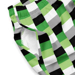 Aromantic Flag Check Swim Trunks - On Trend Shirts