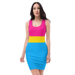 Pansexual Flag Fitted Dress - On Trend Shirts