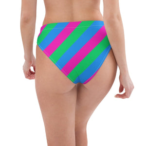 Polysexual Flag Recycled High-Waisted Bikini Bottom - On Trend Shirts