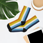 Vertical AroAce Flag Socks - On Trend Shirts